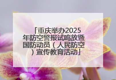 重庆举办2025年防空警报试鸣放暨国防动员（人民防空）宣传教育活动
