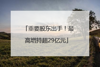 重要股东出手！最高增持超29亿元