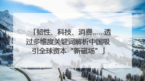 韧性、科技、消费……透过多维度关键词解析中国吸引全球资本“新磁场”