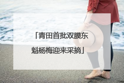 青田首批双膜东魁杨梅迎来采摘