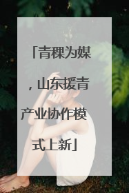青稞为媒，山东援青产业协作模式上新