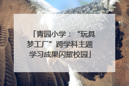 青园小学：“玩具梦工厂”跨学科主题学习成果闪耀校园