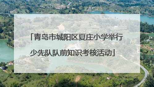 青岛市城阳区夏庄小学举行少先队队前知识考核活动