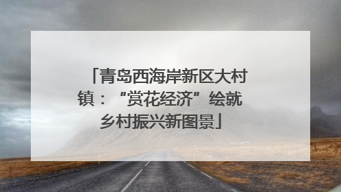 青岛西海岸新区大村镇：“赏花经济”绘就乡村振兴新图景