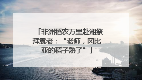 非洲稻农万里赴湘祭拜袁老：“老师，冈比亚的稻子熟了”