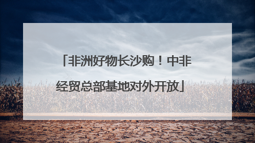 非洲好物长沙购！中非经贸总部基地对外开放