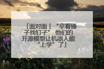 面对面丨“拿着锤子找钉子” 他们的开源模型让机器人能“上学”了