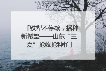 铁犁不停歇，播种新希望——山东“三夏”抢收抢种忙