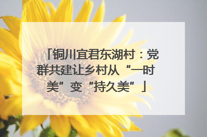 铜川宜君东湖村：党群共建让乡村从“一时美”变“持久美”