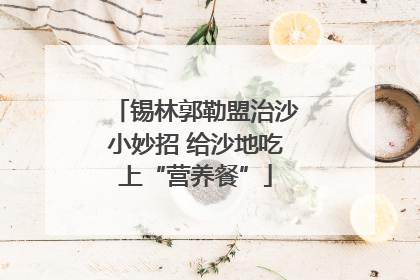 锡林郭勒盟治沙小妙招 给沙地吃上“营养餐”