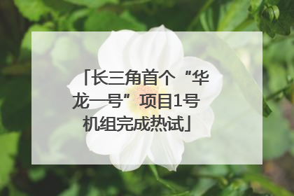 长三角首个“华龙一号”项目1号机组完成热试