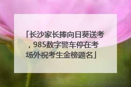 长沙家长捧向日葵送考，985数字警车停在考场外祝考生金榜题名