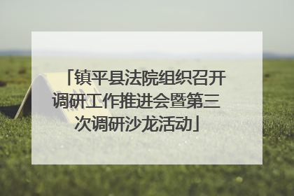 镇平县法院组织召开调研工作推进会暨第三次调研沙龙活动