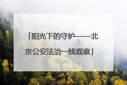 阳光下的守护——北京公安法治一线观察