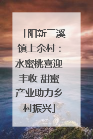 阳新三溪镇上余村：水蜜桃喜迎丰收 甜蜜产业助力乡村振兴