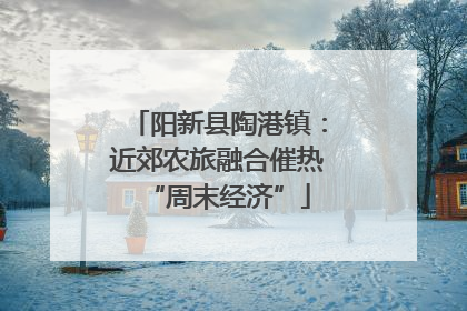 阳新县陶港镇：近郊农旅融合催热“周末经济”