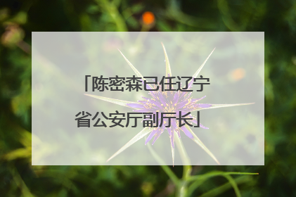 陈密森已任辽宁省公安厅副厅长