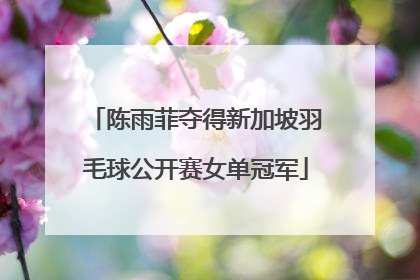 陈雨菲夺得新加坡羽毛球公开赛女单冠军