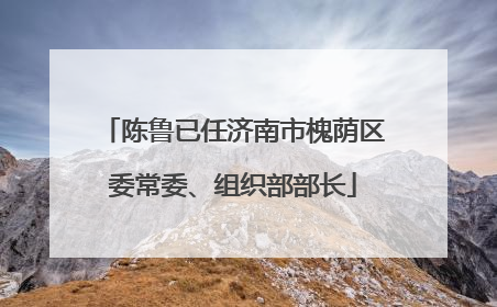 陈鲁已任济南市槐荫区委常委、组织部部长
