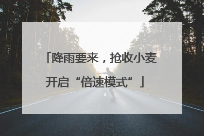 降雨要来，抢收小麦开启“倍速模式”