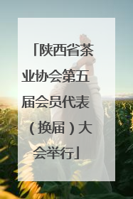 陕西省茶业协会第五届会员代表（换届）大会举行