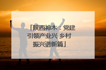 陕西神木：党建引领产业兴 乡村振兴谱新篇