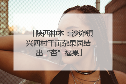 陕西神木：沙峁镇兴四村千亩杂果园结出“杏”福果