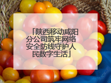 陕西移动咸阳分公司筑牢网络安全防线守护人民数字生活