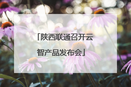 陕西联通召开云智产品发布会