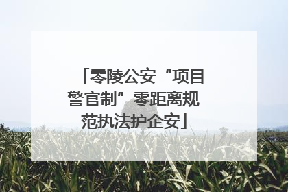 零陵公安“项目警官制”零距离规范执法护企安