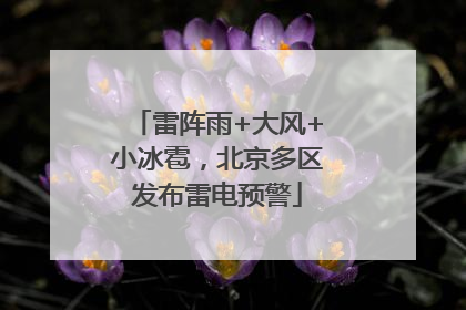 雷阵雨+大风+小冰雹，北京多区发布雷电预警