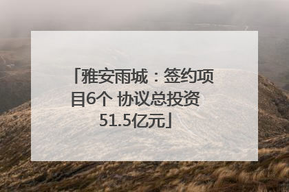 雅安雨城：签约项目6个 协议总投资51.5亿元