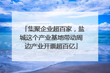 集聚企业超百家，盐城这个产业基地带动周边产业开票超百亿