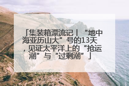 集装箱漂流记丨“地中海亚历山大”号的13天，见证太平洋上的“抢运潮”与“过剩潮”