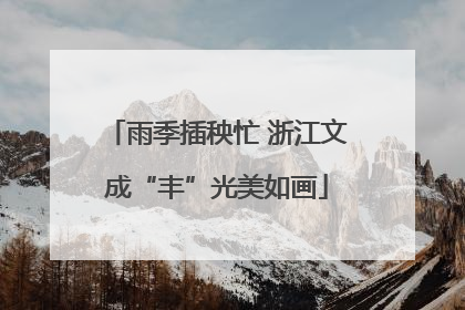 雨季插秧忙 浙江文成“丰”光美如画