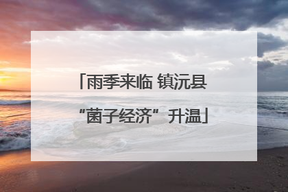 雨季来临 镇沅县“菌子经济”升温