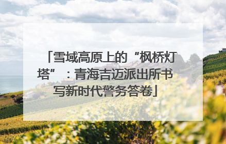雪域高原上的“枫桥灯塔”：青海吉迈派出所书写新时代警务答卷