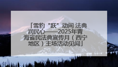 雪豹“跃”动间 法典润民心——2025年青海省民法典宣传月（西宁地区）主场活动见闻