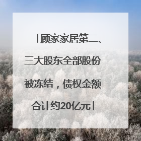 顾家家居第二、三大股东全部股份被冻结，债权金额合计约20亿元