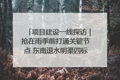 项目建设一线探访｜抢在雨季前打通关键节点 东南退水明渠四标段项目顺利完工