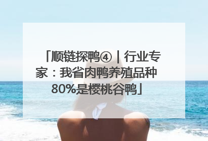 顺链探鸭④｜行业专家：我省肉鸭养殖品种80%是樱桃谷鸭