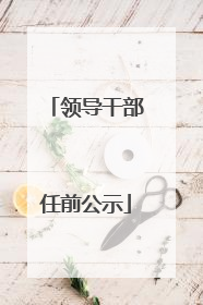 领导干部任前公示