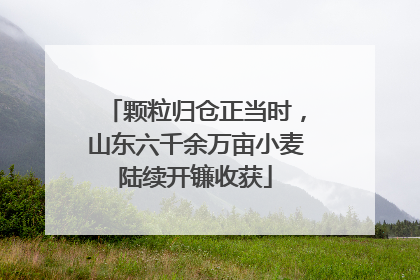 颗粒归仓正当时，山东六千余万亩小麦陆续开镰收获