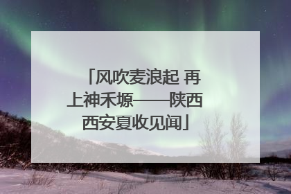 风吹麦浪起 再上神禾塬——陕西西安夏收见闻
