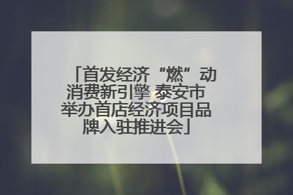 首发经济“燃”动消费新引擎 泰安市举办首店经济项目品牌入驻推进会