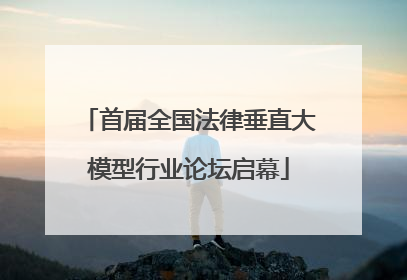首届全国法律垂直大模型行业论坛启幕