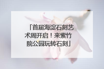 首届海淀石刻艺术周开启！来紫竹院公园玩转石刻
