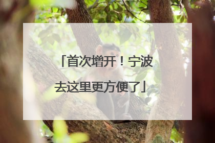 首次增开！宁波去这里更方便了