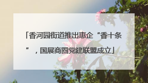 香河园街道推出惠企“香十条”，国展商圈党建联盟成立