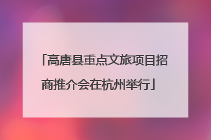 高唐县重点文旅项目招商推介会在杭州举行